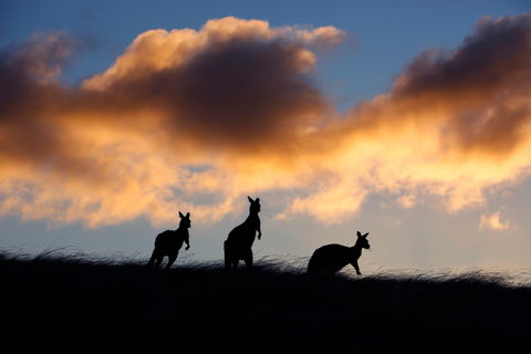 Sky House LifeTime Private Retreats - Accommodation Batemans Bay 1