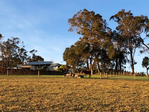 Great Southern Outback Tours & Accommodation - Accommodation Batemans Bay 2
