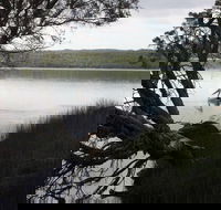 The Cove - Accommodation Batemans Bay