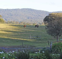Wallaby Cottage - Accommodation Batemans Bay