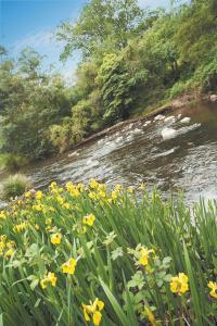 Grange Yarra Valley - Accommodation Batemans Bay 4