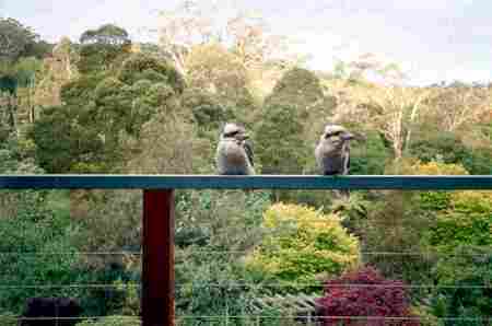 Upwey VIC Accommodation Batemans Bay