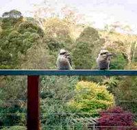 Mast Gully Gardens - Accommodation Batemans Bay