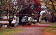 Euroa Caravan And Tourist Park - thumb 3