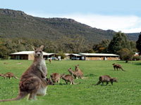 Halls Gap Log Cabins - Accommodation Batemans Bay 2