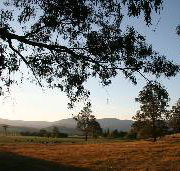 Cann River Rainforest Caravan Park - Accommodation Batemans Bay