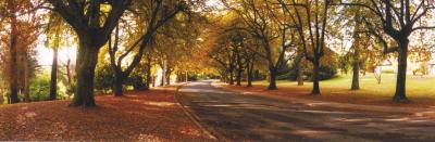 La Trobe At Beechworth - Accommodation Batemans Bay 0