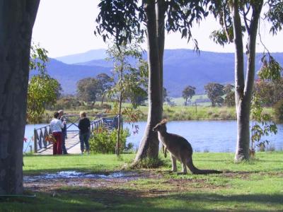 Wombat Hills Cottages - Accommodation Batemans Bay 4