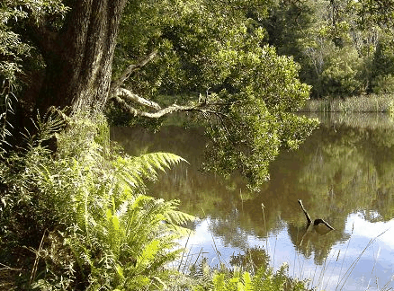Weldborough Hotel - Accommodation Batemans Bay