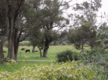 Woody Grange Chalets - Accommodation Batemans Bay 3