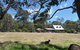 Charnigup Farm Bed & Breakfast - thumb 0
