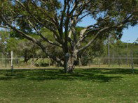 Hawks Nest Holiday Park - Accommodation Batemans Bay 3