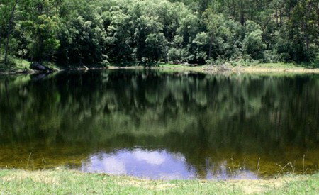 Mystwood Retreats - Accommodation Batemans Bay 5