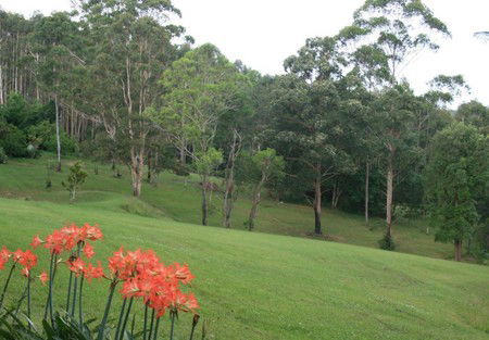 Woodridge Park Country Retreat - Accommodation Batemans Bay 3