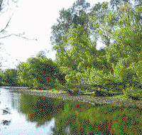 Ribbonwood Cottages - Accommodation Batemans Bay
