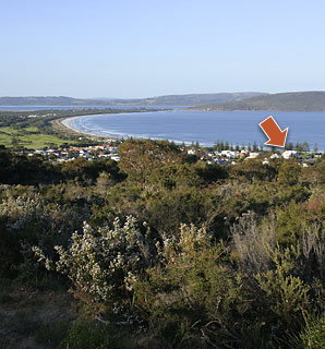 The Castlereagh 4 - Accommodation Batemans Bay 4