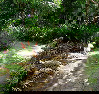 Coco's Country Cottage - Accommodation Batemans Bay