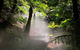 Australian National Botanic Gardens - thumb 4