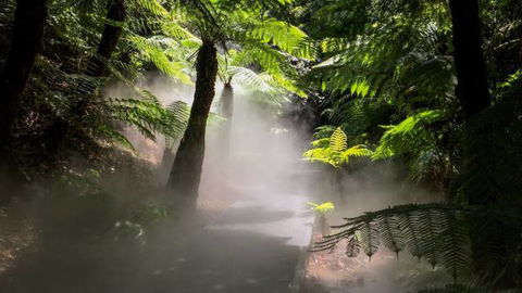 Australian National Botanic Gardens - Accommodation Batemans Bay 4
