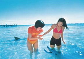 Hammond Park WA Accommodation Batemans Bay