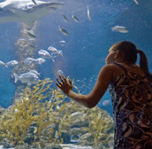 The Aquarium of Western Australia - Accommodation Batemans Bay