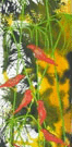 Jahroc Mill Gallery - Accommodation Batemans Bay 3