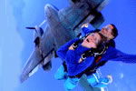Simply Skydive - Accommodation Batemans Bay 2