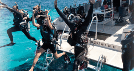 Snorkel Safari Brisbane - Accommodation Batemans Bay
