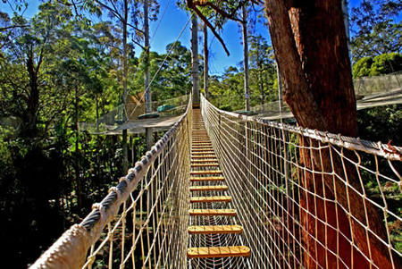 Gold Coast Hinterland QLD Accommodation Batemans Bay