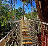 Thunderbird Park - Accommodation Batemans Bay