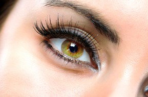 Beauty On Ryrie - Accommodation Batemans Bay 1