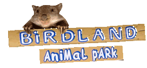 Birdland Animal Park - Accommodation Batemans Bay
