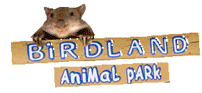 Birdland Animal Park - Accommodation Batemans Bay 0