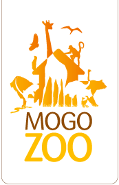 Mogo Zoo - Accommodation Batemans Bay