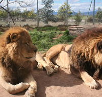 Mansfield Zoo - Accommodation Batemans Bay
