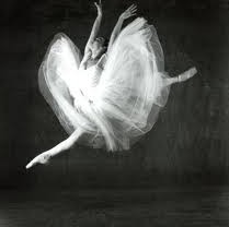 Glen Street Theatre - Accommodation Batemans Bay 3