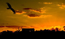 Werribee Open Range Zoo - Accommodation Batemans Bay 1