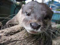 Underwater World - Accommodation Batemans Bay 1