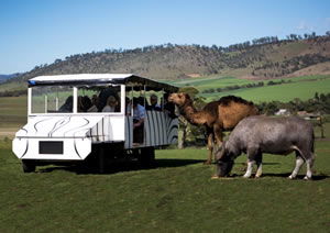 Zoo Doo Wildlife Park - Accommodation Batemans Bay 2