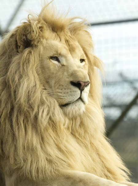 Zoo Doo Wildlife Park - Accommodation Batemans Bay 3