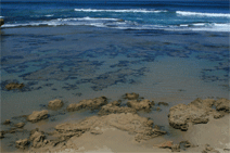 Canberra Contemporary Art Space - Accommodation Batemans Bay