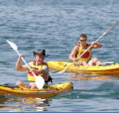 Manly Kayaks - Accommodation Batemans Bay