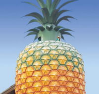 The Big Pineapple - Accommodation Batemans Bay