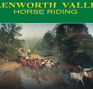 Glenworth Valley Horseriding - Accommodation Batemans Bay