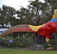 Gumbuya Park - Accommodation Batemans Bay