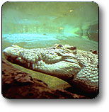 Kakadu National Park - Accommodation Batemans Bay 1