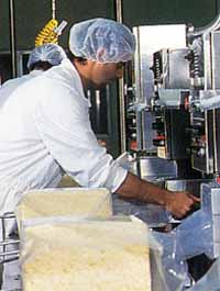 Allansford Cheese World - Accommodation Batemans Bay 1