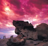 Kangaroo Island Adventure Tour 2 day/1 night - Accommodation Batemans Bay
