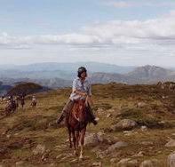 High Country Horses - Accommodation Batemans Bay