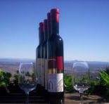 Mount Tamborine Winery  Homestead - Accommodation Batemans Bay